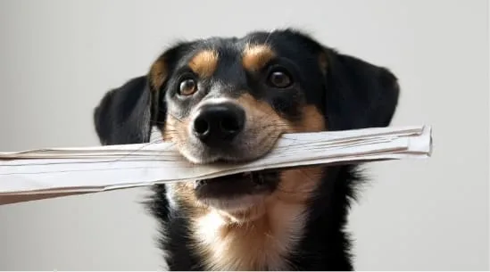 News & Blogs | Confidence IT