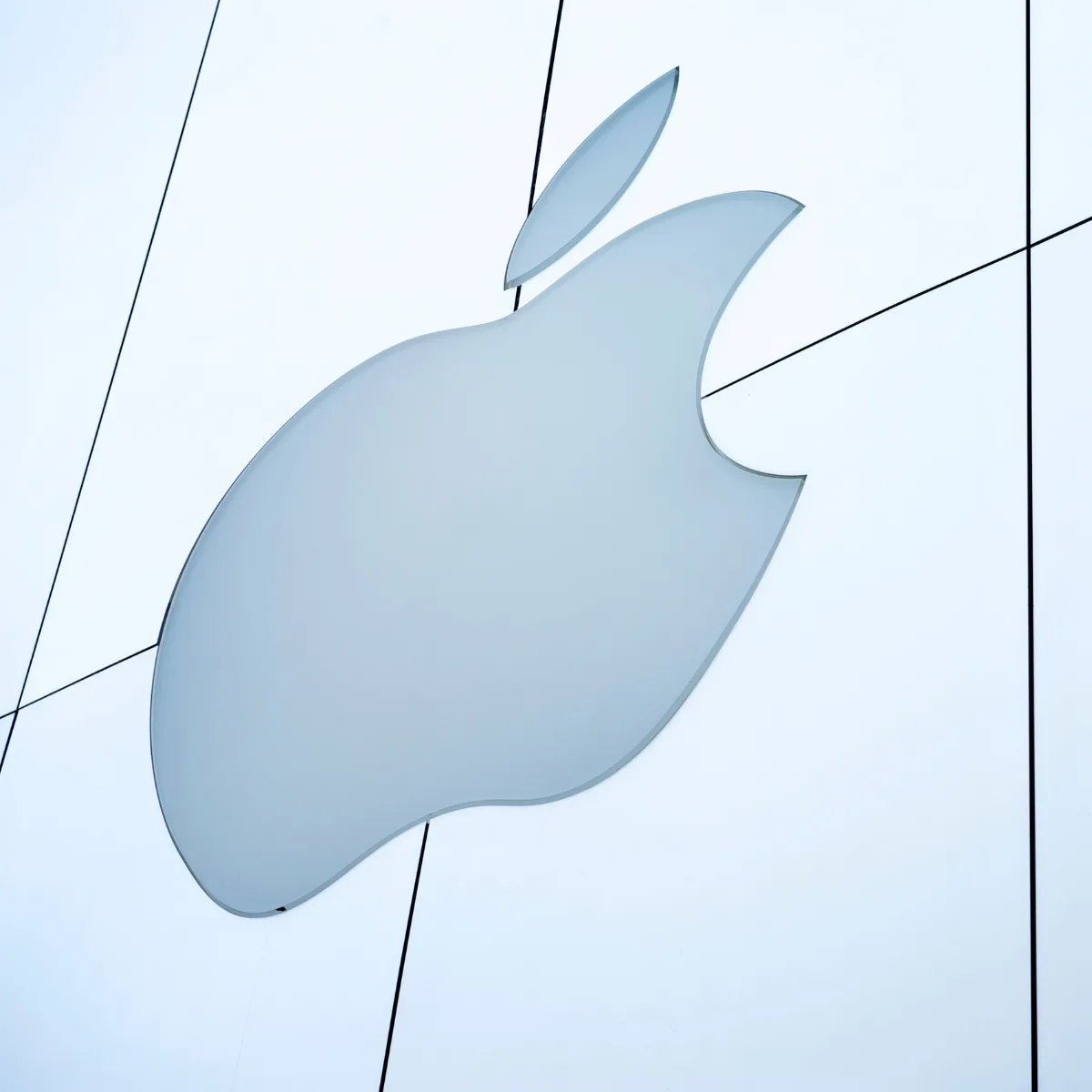 Apple Pay Rise | Confidence IT