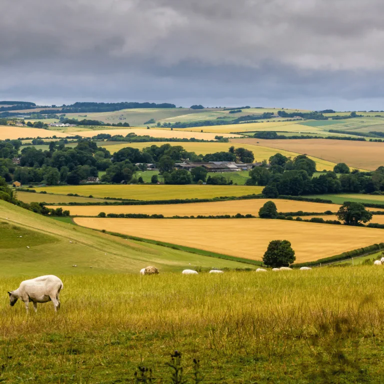 Starlink Broadband Trial In Cumbria blog